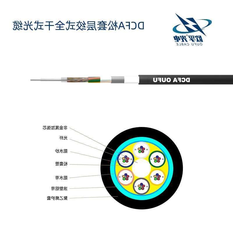 果洛藏族自治州DCFA光缆